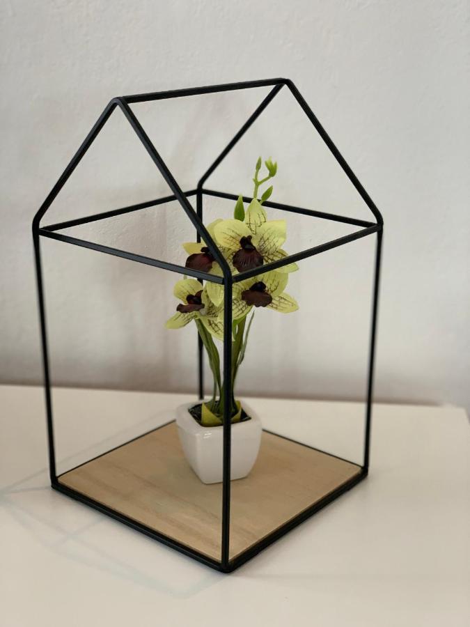 Ema Apartment *